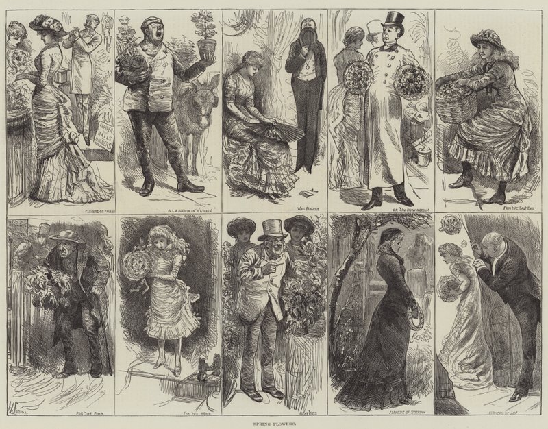 春天的花朵 作者 哈里·弗尼斯（Harry Furniss）
