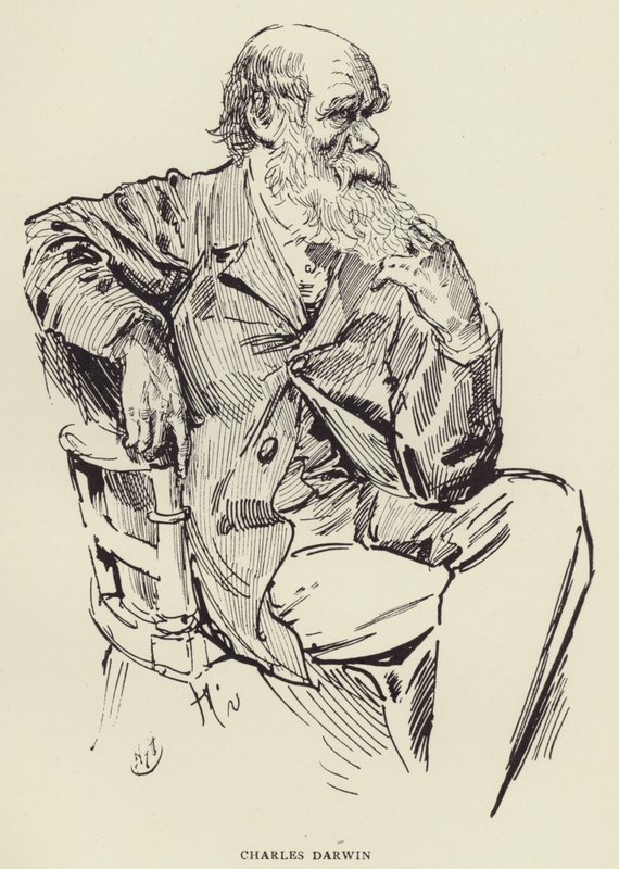 查尔斯·达尔文 作者 哈里·弗尼斯（Harry Furniss）