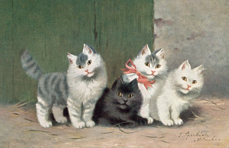 猫明信片（彩色平版） 作者 约瑟夫·斯佩利希