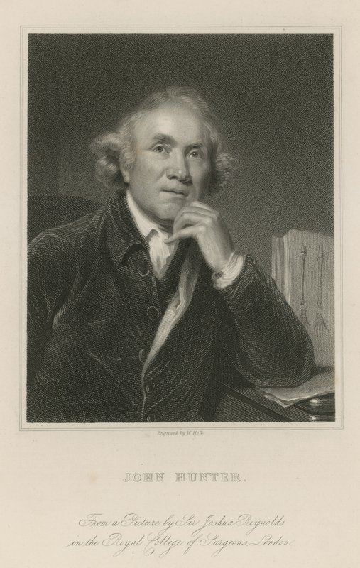 约翰亨特 作者 约书亚·雷诺兹（Joshua Reynolds）