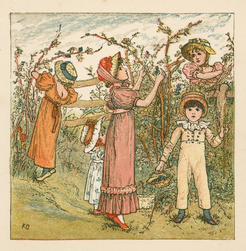 采摘黑莓 作者 凯特·格林威（Kate Greenaway）
