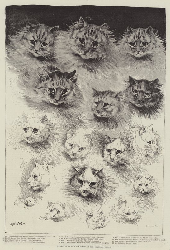 水晶宫猫展的草图 作者 路易·韦恩