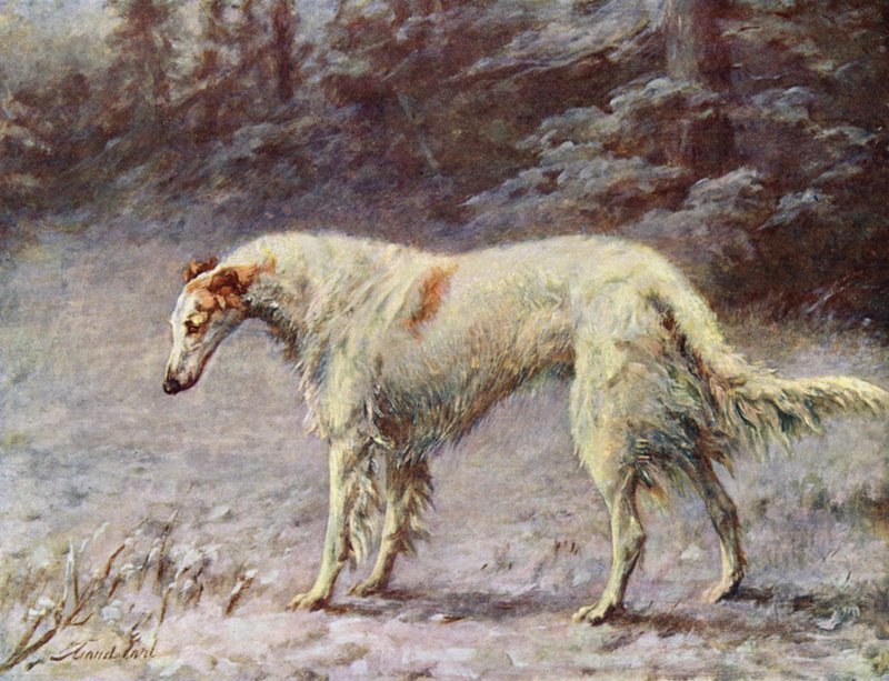 冠军Ivan Turgeneff 作者 莫德伯爵