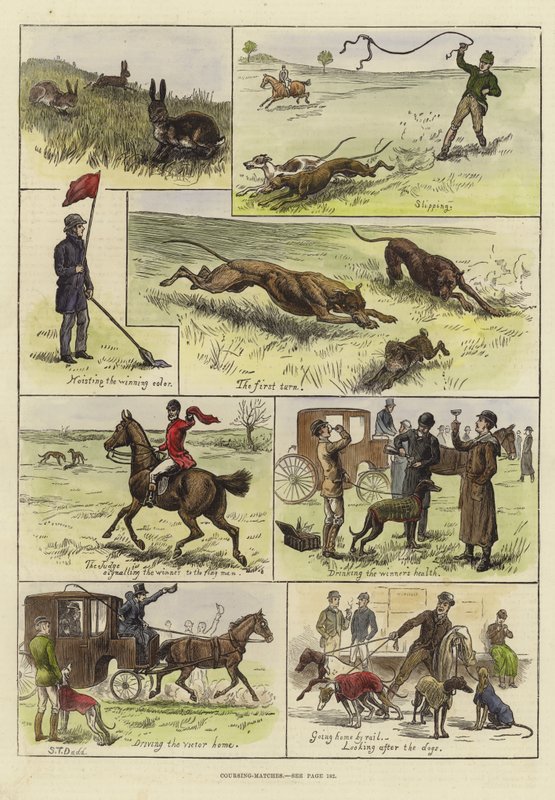 Coursing Matches 作者 ST Dadd