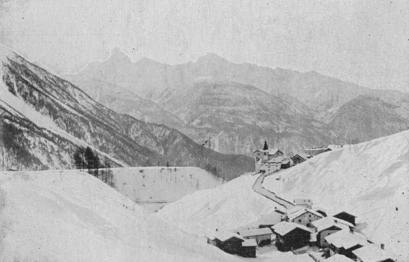 Wiesen pres Davos (b/w photo) 作者 瑞士摄影师